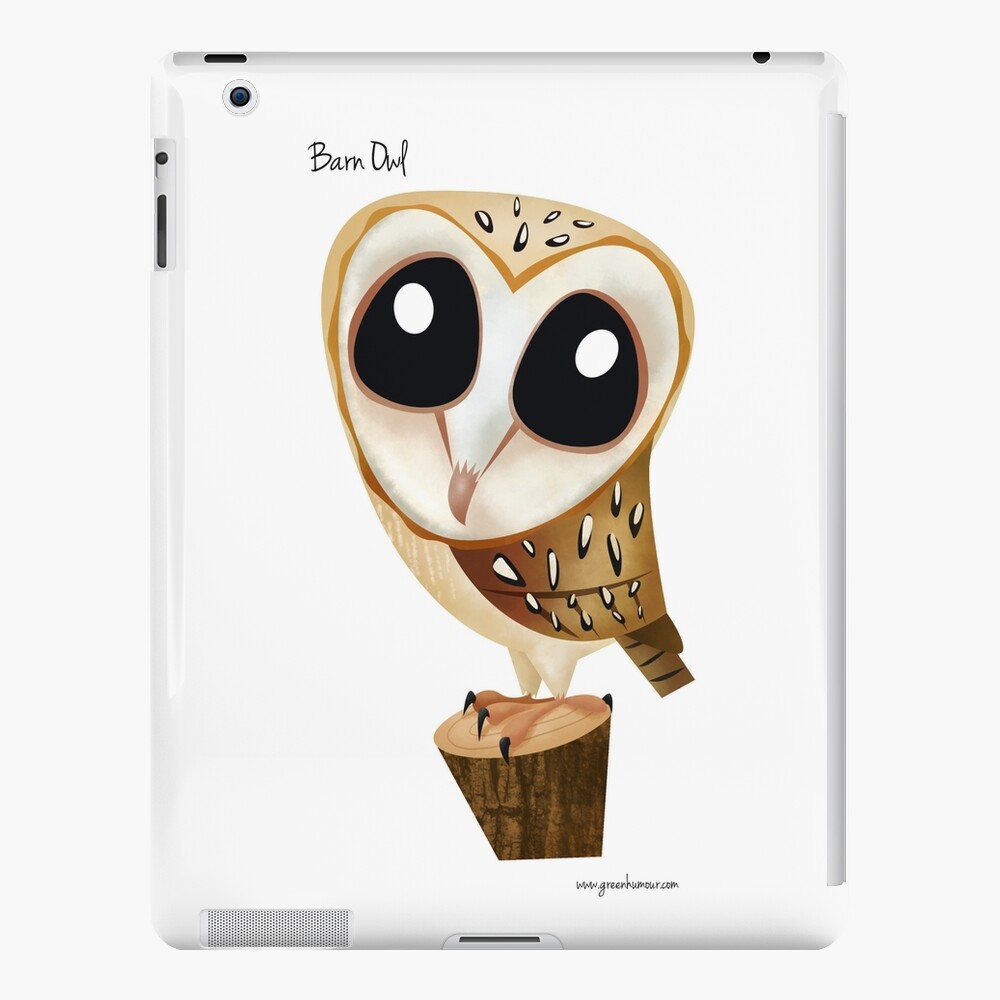 Barn Owl Ipad Case Skin By Rohanchak Redbubble