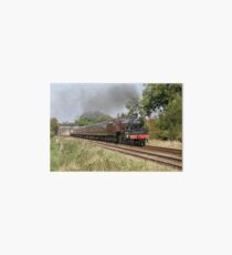steam train Art Board Print
