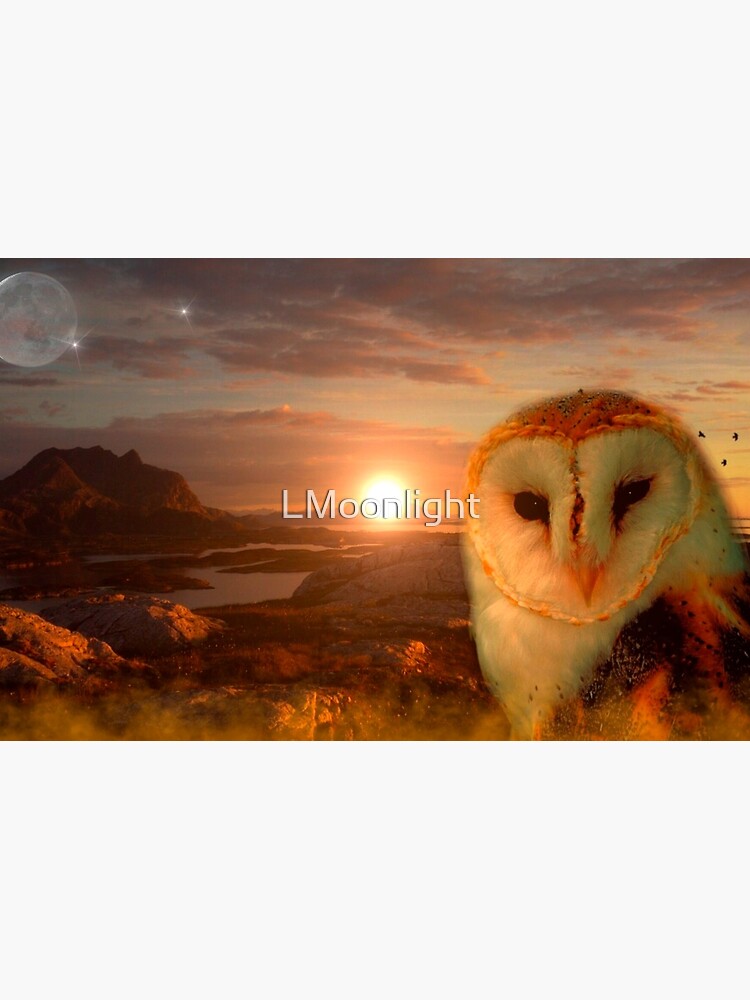 owls soul by LMoonlight