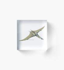 Pteranodon Acrylic Block