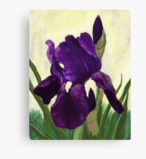 Purple Iris DP150530 Canvas Print