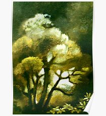 Spirit of the Tarairi Tree Poster