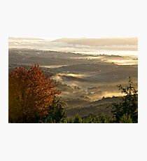 Layer upon layer Photographic Print