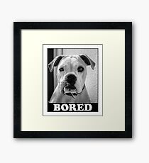 Bored Dog Framed Print