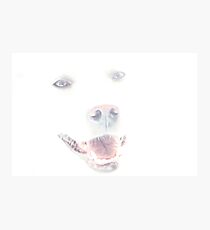Loyalty Photographic Print