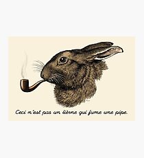 "This is not a hare smoking a pipe." - Magritte Parody Photographic Print