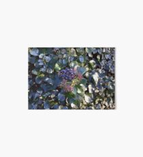 ivy Art Board