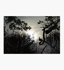 Reflective Beauty Photographic Print