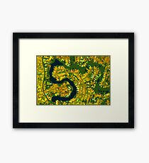 Suburbia Framed Print