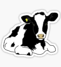 Holstein Heifer Sticker
