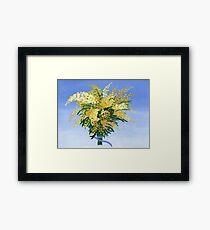 Mimosa Framed Print