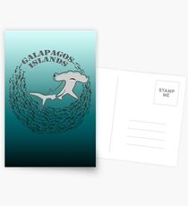 Hammerhead Shark Galapagos Postcards
