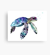 Sea Turtle Canvas Print