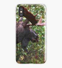 Bull Moose iPhone Case