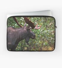 Bull Moose Laptop Sleeve