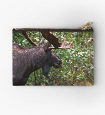Bull Moose Studio Pouch