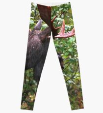 Bull Moose Leggings