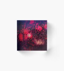 texture exotique Acrylic Block