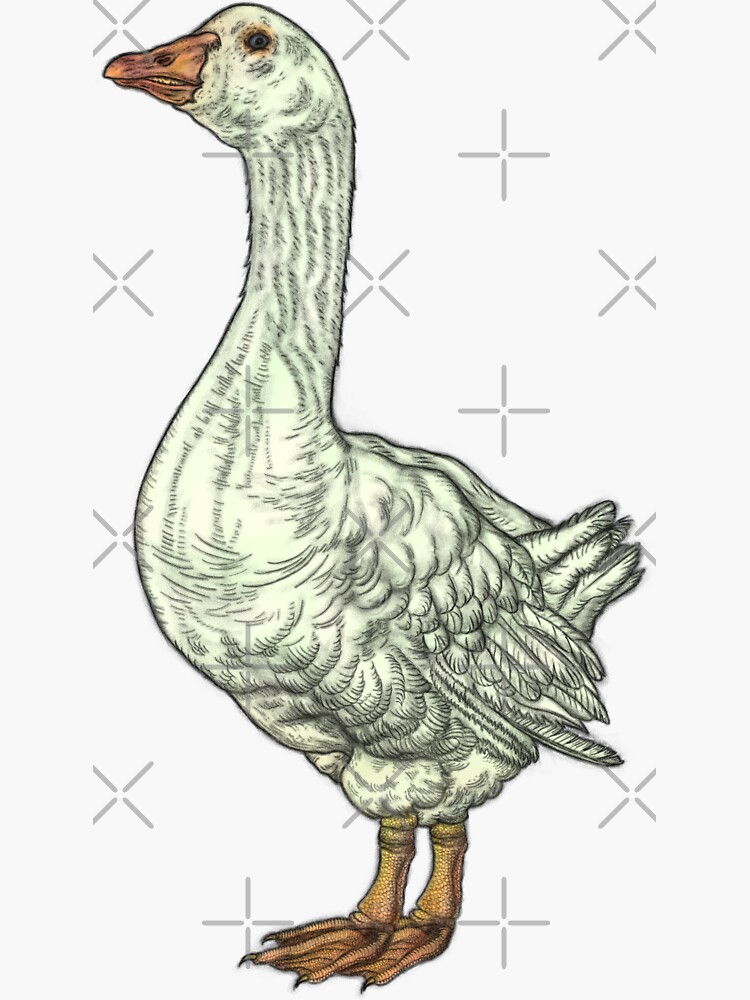 White Goose: Side View by zaxophona