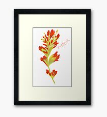 Paintbrush Framed Print