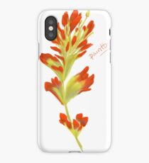 Paintbrush iPhone Case