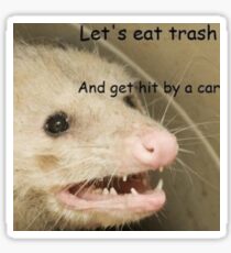 POSSUM MEME LETS EAT TRASH AND GET HIT BY A CAR MEME Sticker