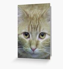 Colby ~ Dolby Greeting Card