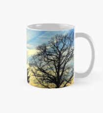 Silhouetted trees at sunset! Mug