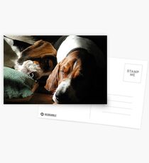 Sleeping Hounds Postcards