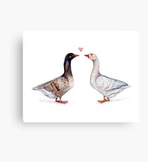 Geese Love Canvas Print