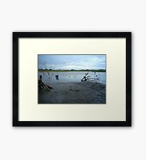 Wetlands Framed Print