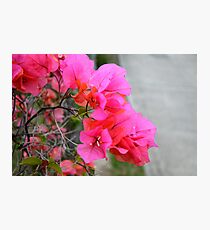 Roadside colour Photographic Print