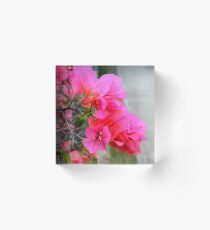 Roadside colour Acrylic Block