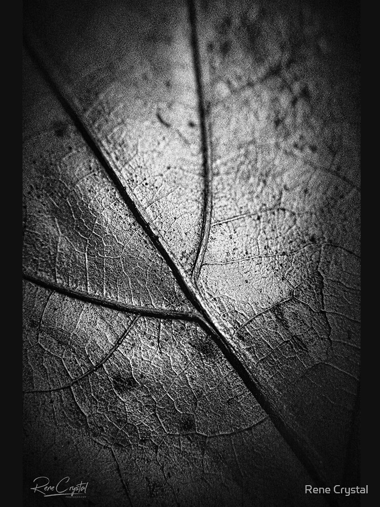 Mama Nature's Roadmap by imagesbycrystal