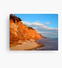 The Red Cliffs of Sidmouth Canvas Print