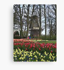 Keukenhof Molen Leinwanddruck