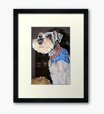 Max Boy Framed Print