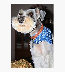 Max Boy Photographic Print