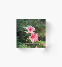 Sunken Garden Flower Acrylic Block