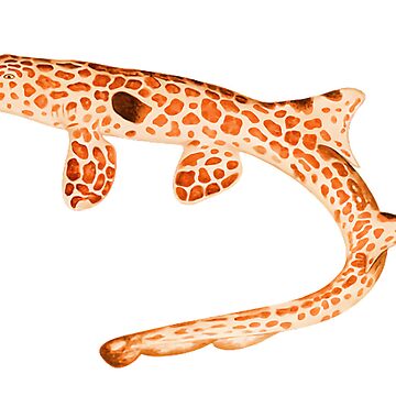 Epaulette shark hot sale toy