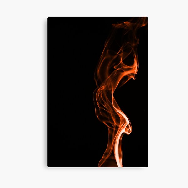 Flamenco Canvas Print