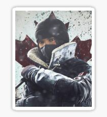Pegatina Frost R6S