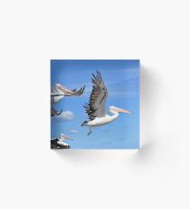 Pelicans Flying Acrylic Block