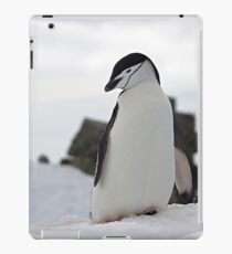 Cute Penguin iPad Case/Skin