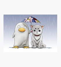 gintama Photographic Print
