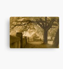 Discover Kraków . © Andrzej Goszcz. Has been sold. Views: 13858. . Metal Print