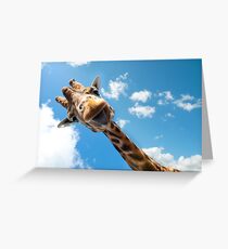 Hello Giraffe! Greeting Card