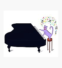 Keyboard Kitty on the baby grand Photographic Print