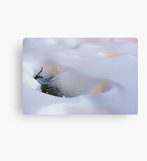 alpenglow Canvas Print