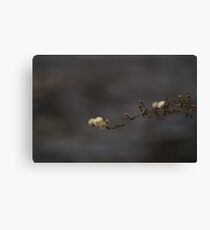 Rush Canvas Print